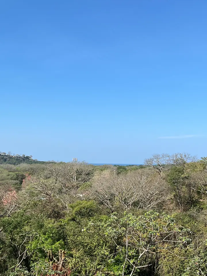 View of the property in Nosara