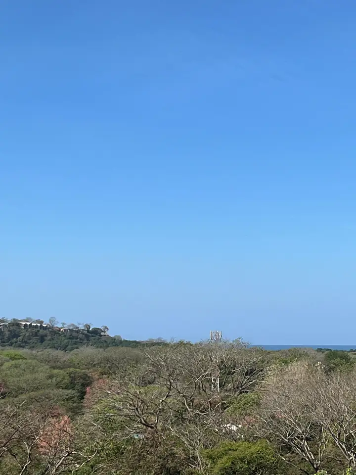 Natural area of the property